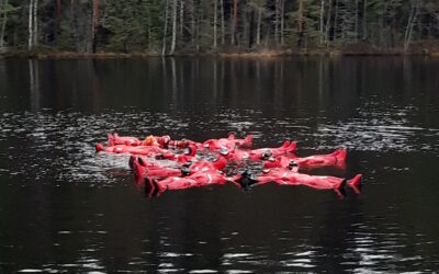 Kohti energiamurroksen mestaruutta – Miten ICT-kehittäjä näkee tien huipulle?