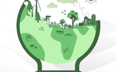 Verkkoyhtiöt murroksessa: viisi teemaa, jotka muovaavat alan tulevaisuutta